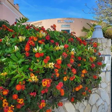 A Place In The Sun Apartment